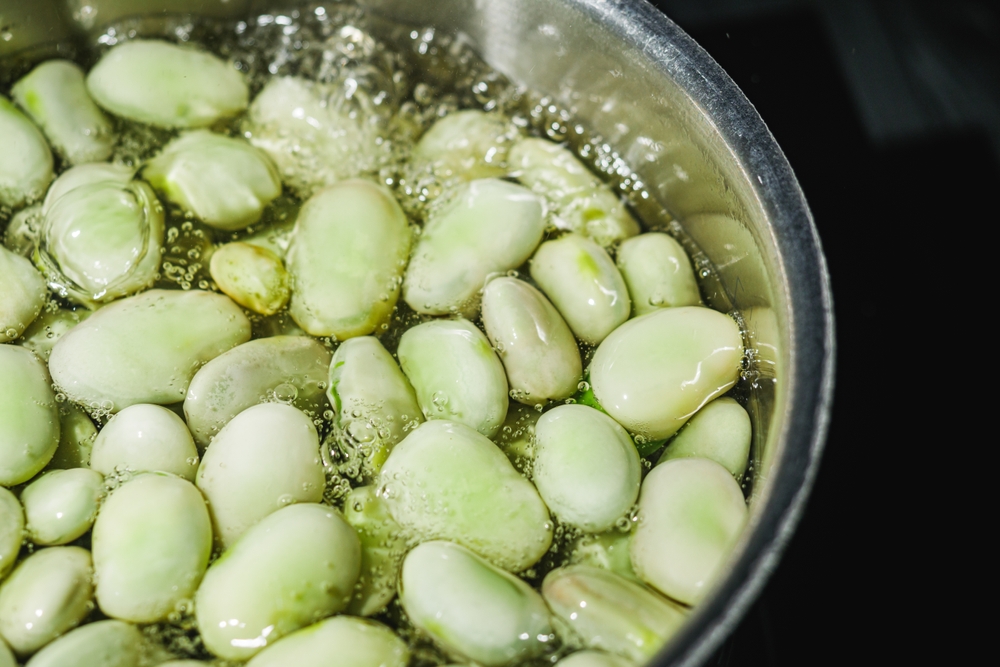 Green broad beans in a pot of boiling water.