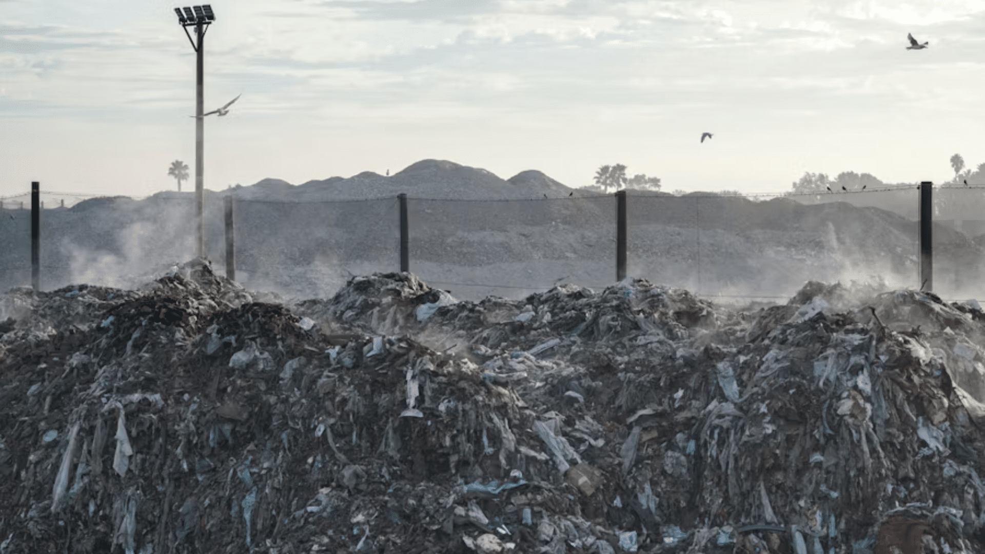 A wide daytime shot of a large landfill or trash mound; piles of dark waste are emitting steam or smoke, with several seagulls flying overhead against a hazy sky, representing the environmental impact of waste.