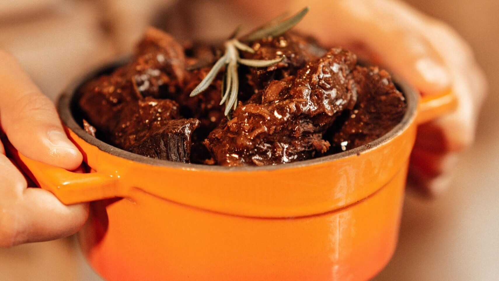 Bowl of cooked meat stew garnished with herbs held in both hands.