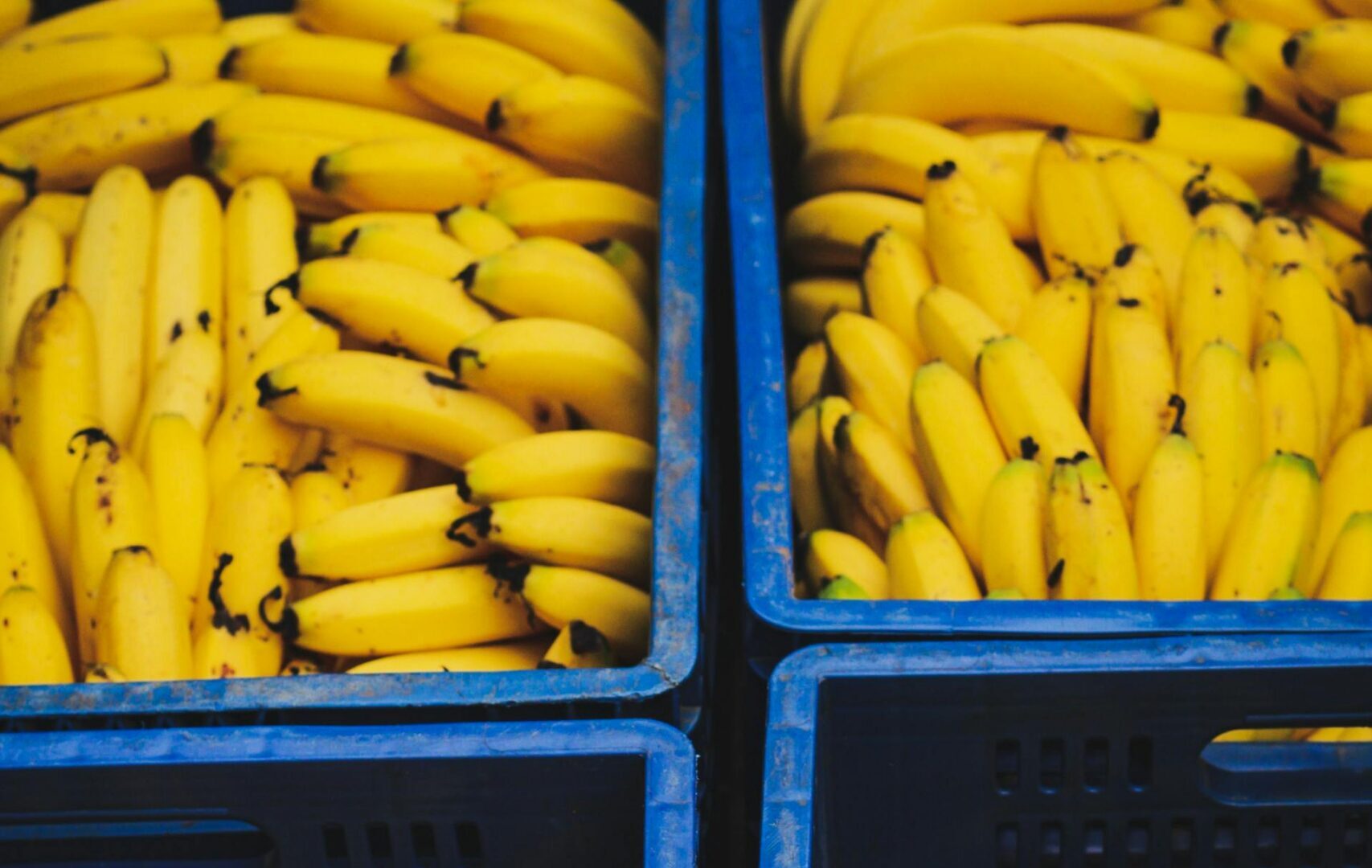Crates filled with ripe yellow bananas stacked in a market or storage area.
