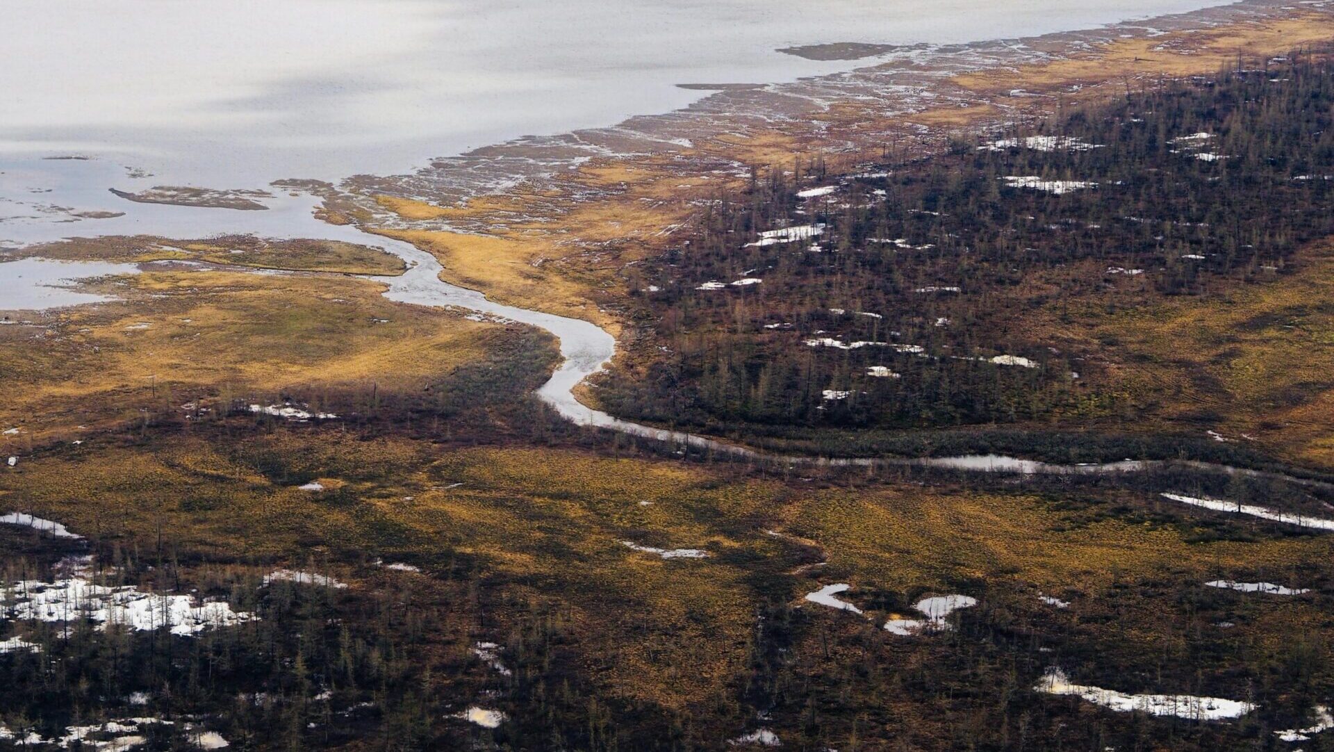 Aerial view of a winding river flowing through a coastal wetland landscape.