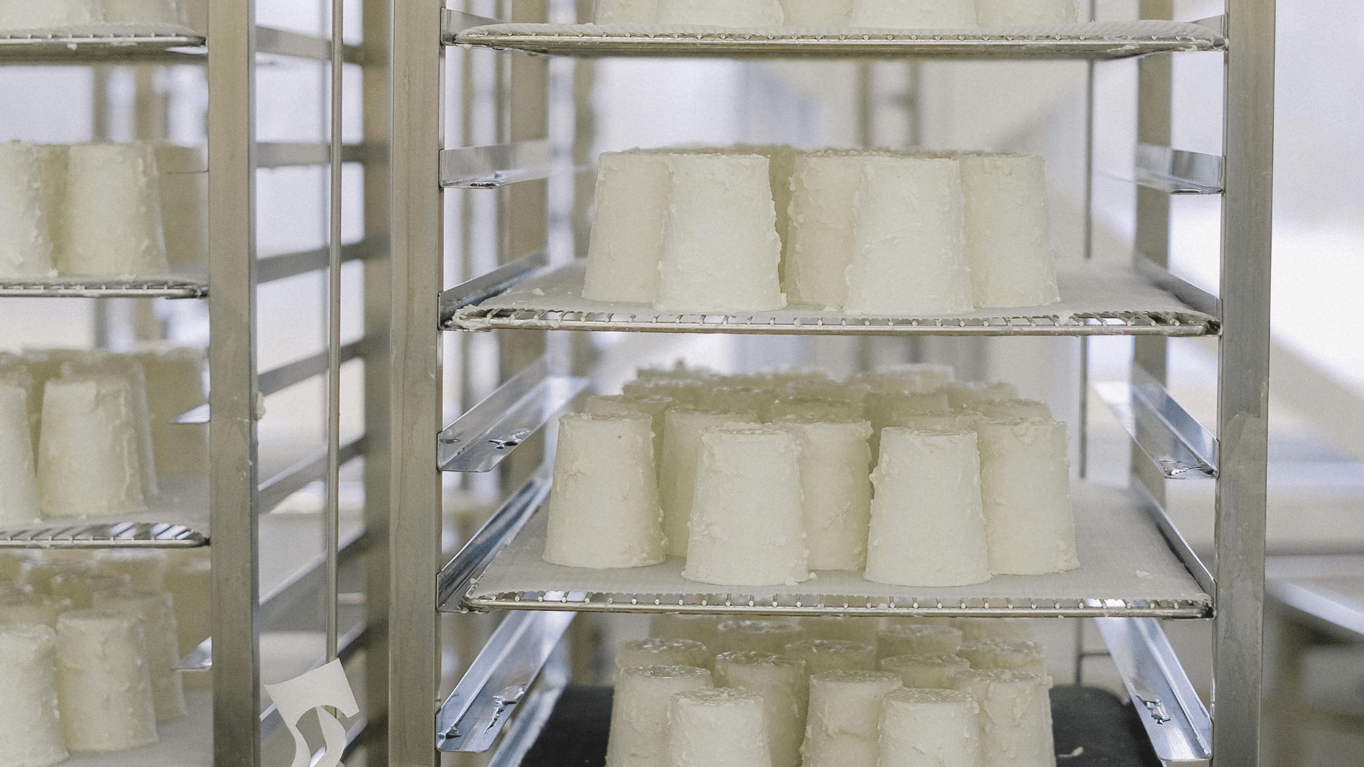 Rows of small, cone-shaped white cheeses sit on metal cooling racks within a large industrial rolling storage unit