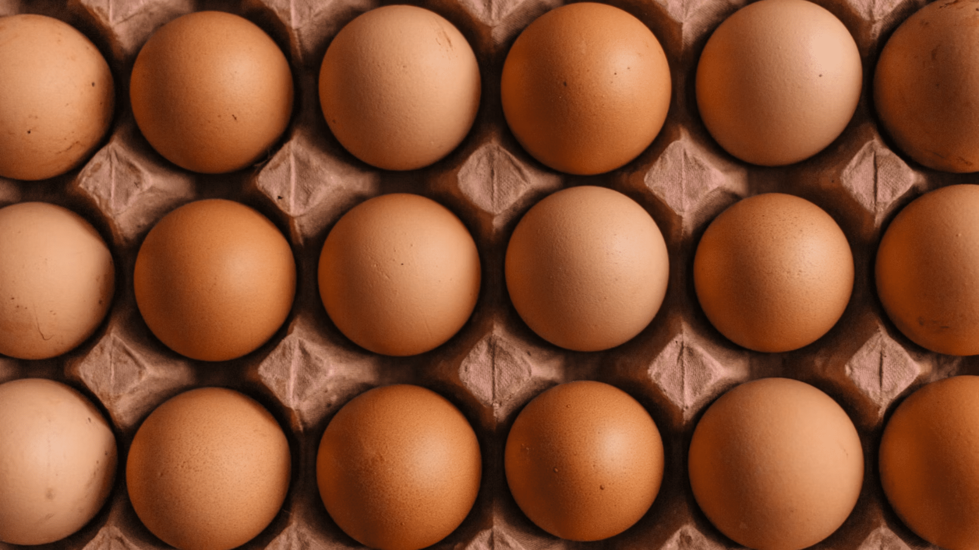 A top-down, symmetrical view of dozens of brown eggs perfectly nestled in a cardboard transport tray.