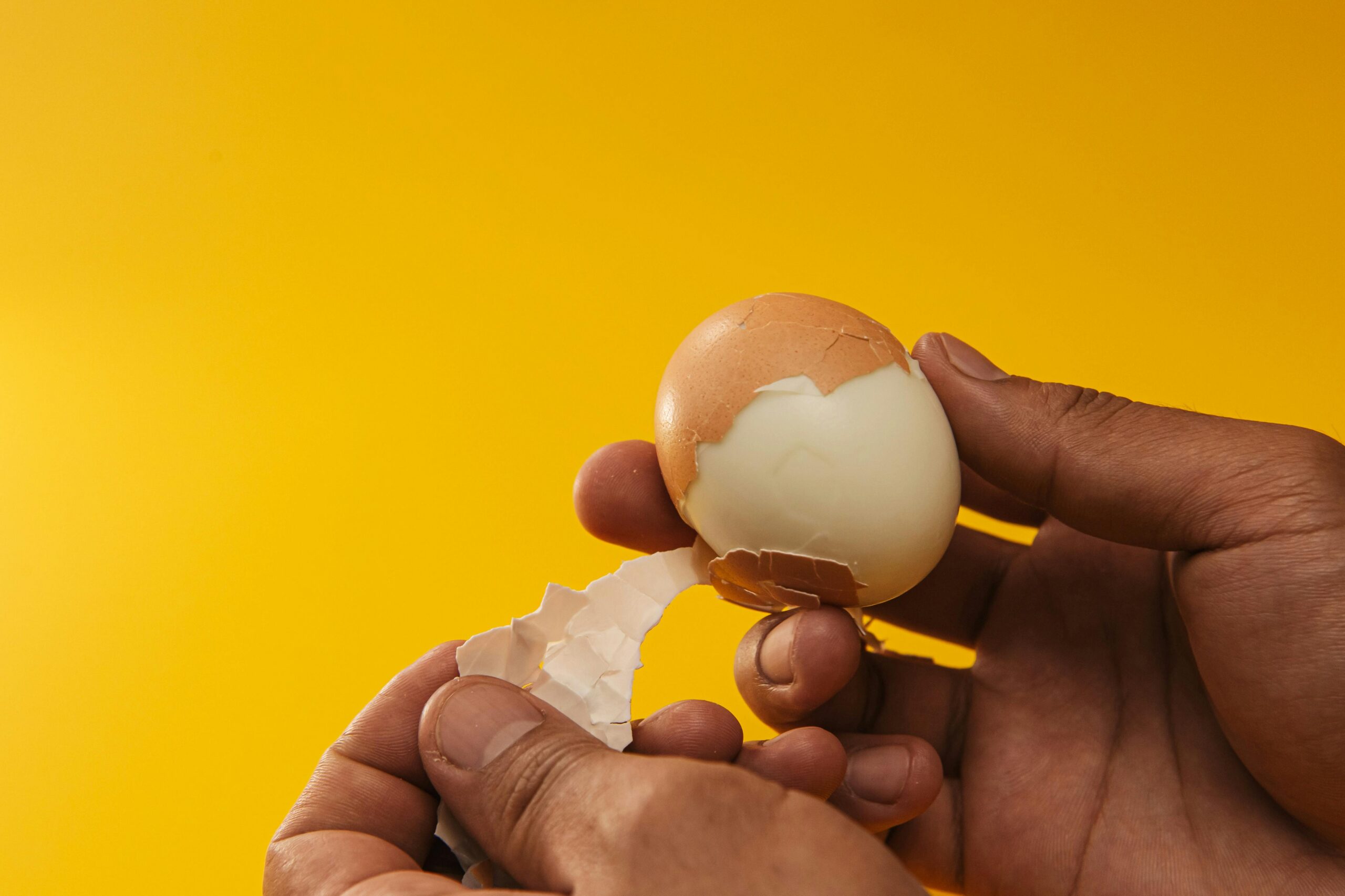 Hands peeling a hard-boiled egg against a yellow background.