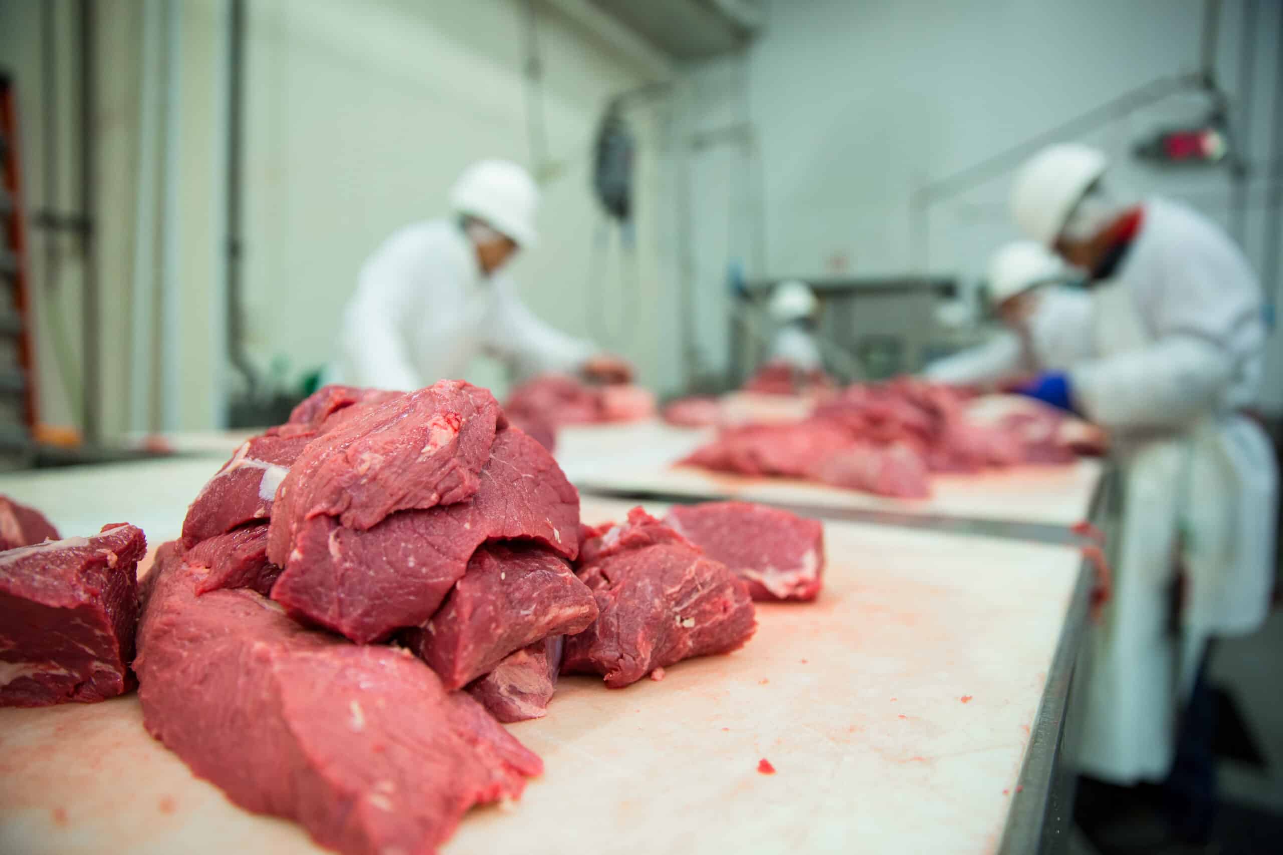 Raw beef cuts on a processing table at a meat production facility.
