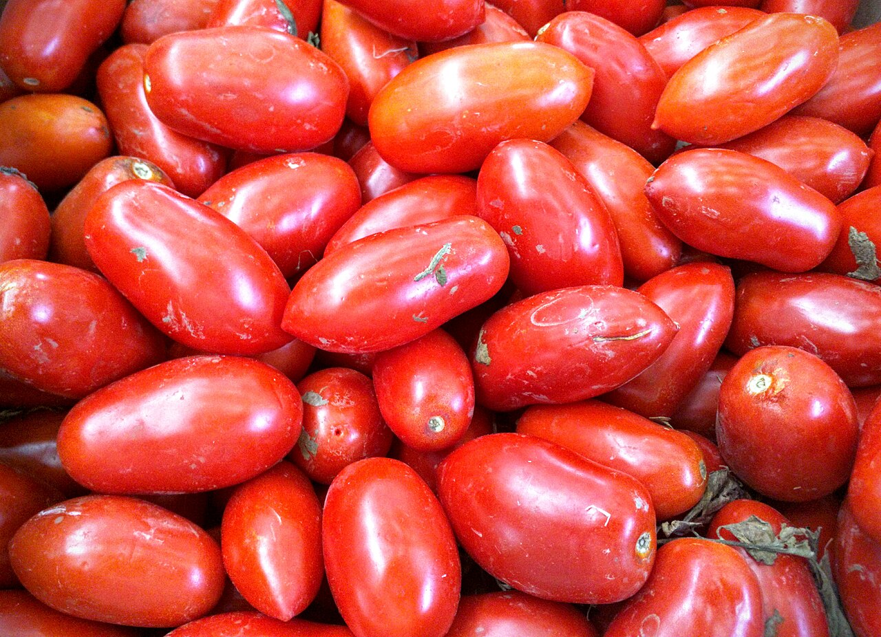 San Marzano tomatoes piled together.