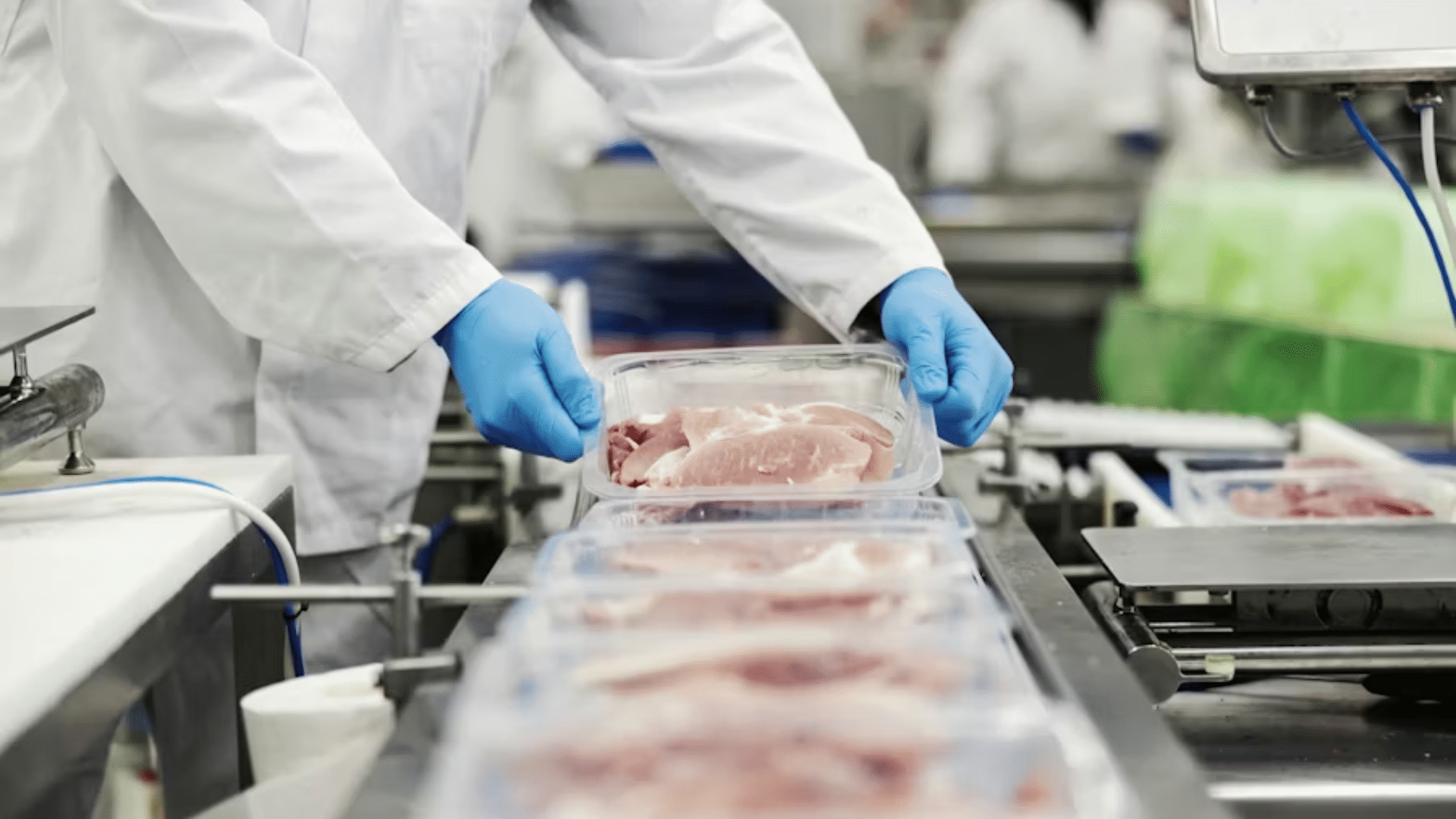 A clean, horizontal industrial shot inside a food processing facility; a worker wearing a white lab coat, hairnet, and bright blue nitrile gloves handles plastic trays of raw sliced pork cuts moving along a conveyor belt system.