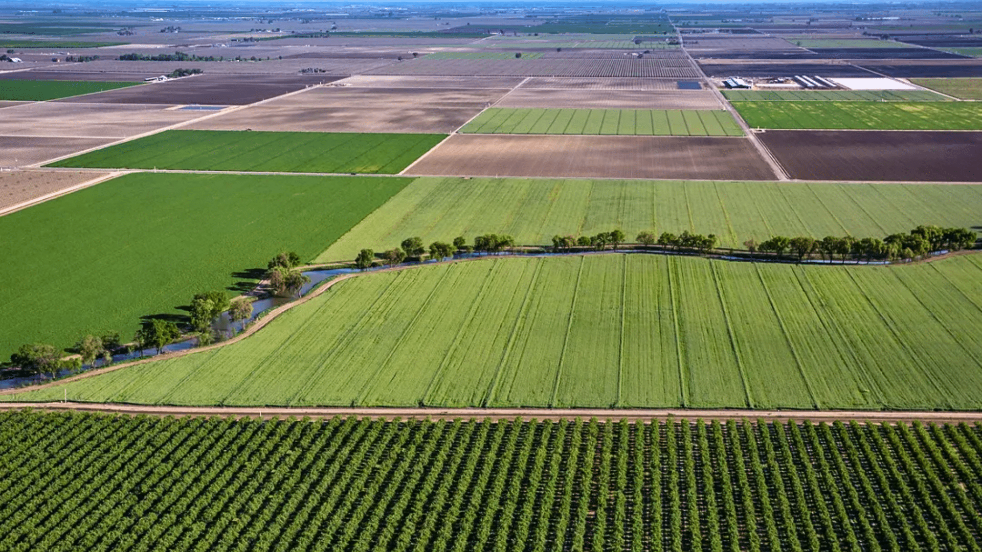 Aerial view of agricultural farmland with crop fields and irrigation canal.