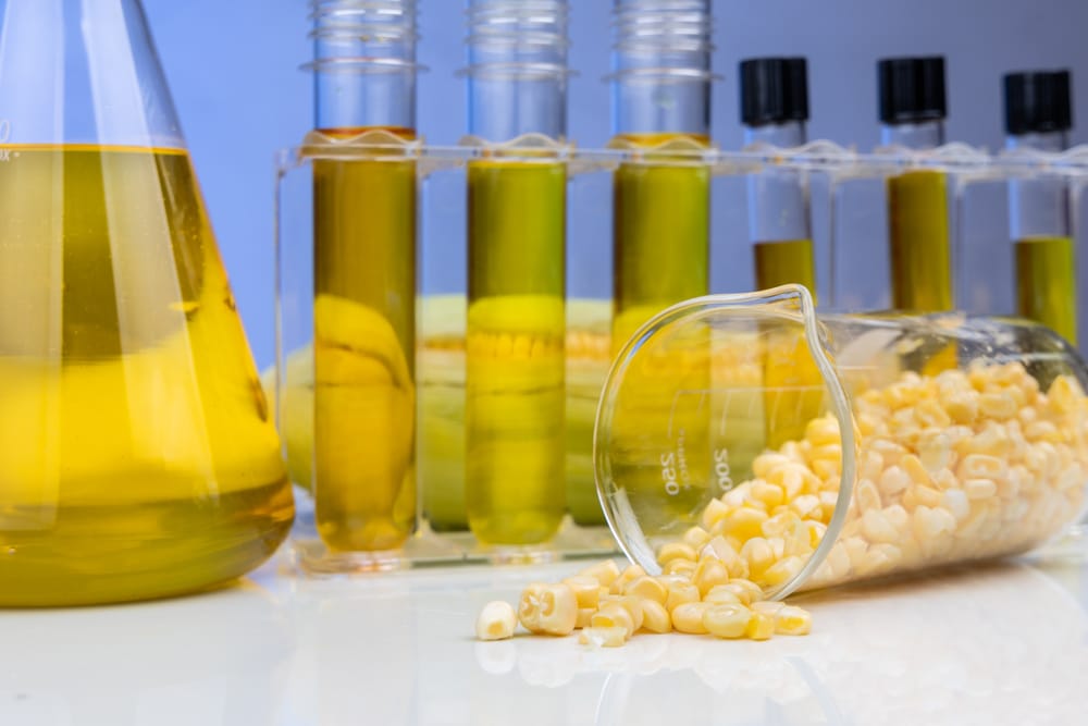 Corn-derived ethanol biofuel in laboratory beakers and test tubes beside corn kernels.