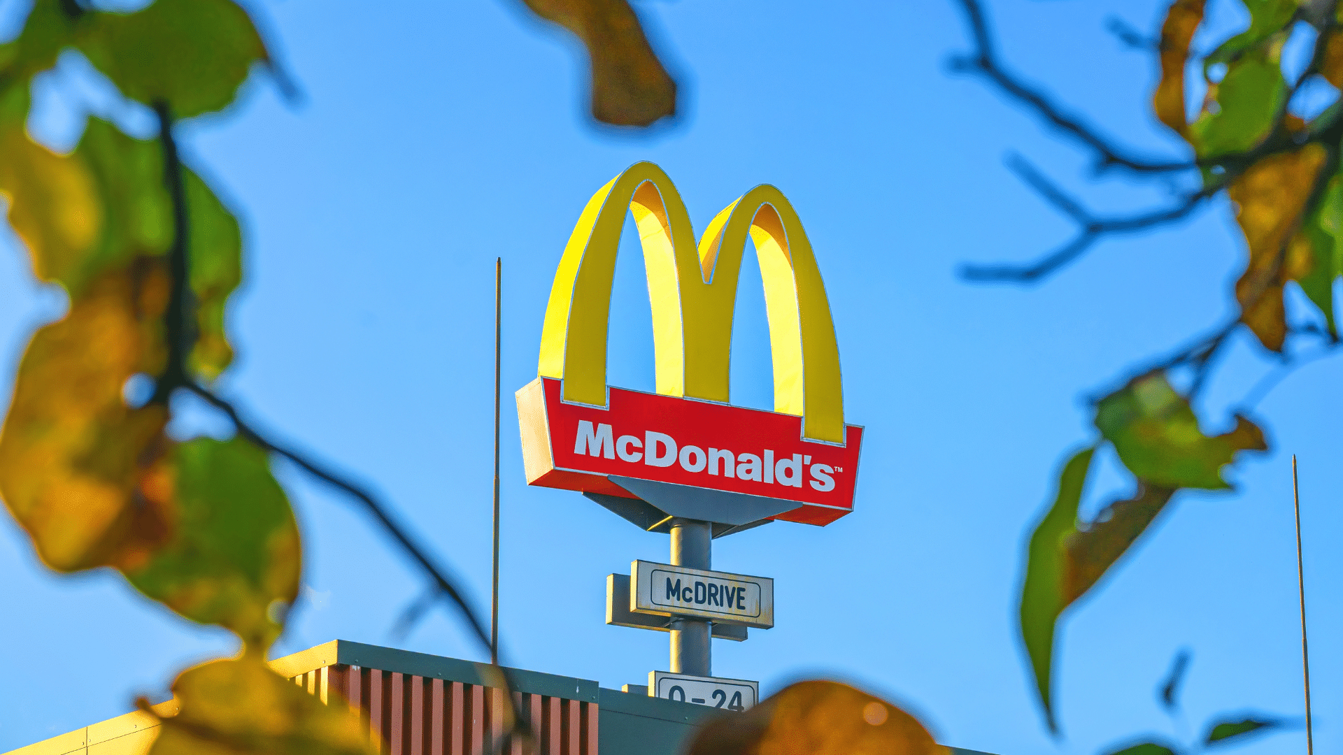 A McDonald's Golden Arches sign with a "McDRIVE" panel below it, framed by out-of-focus leaves against a bright blue sky.