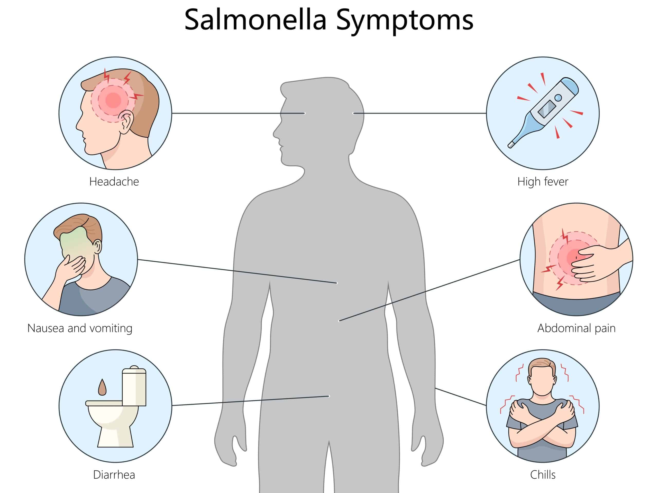 Infographic showing common salmonella symptoms, including fever, headache, nausea, diarrhea, abdominal pain and chills.