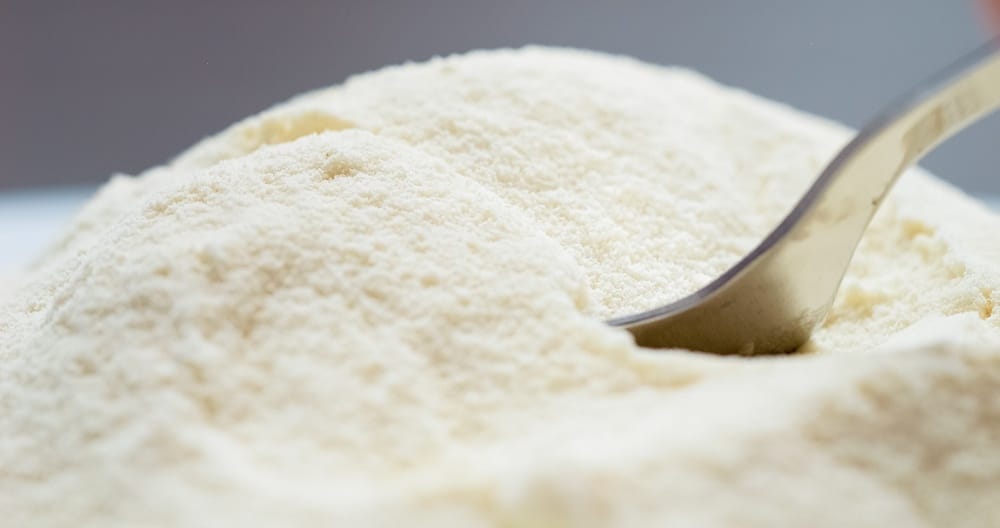 Milk powder in a container with a scoop, illustrating a dairy ingredient used in food production.