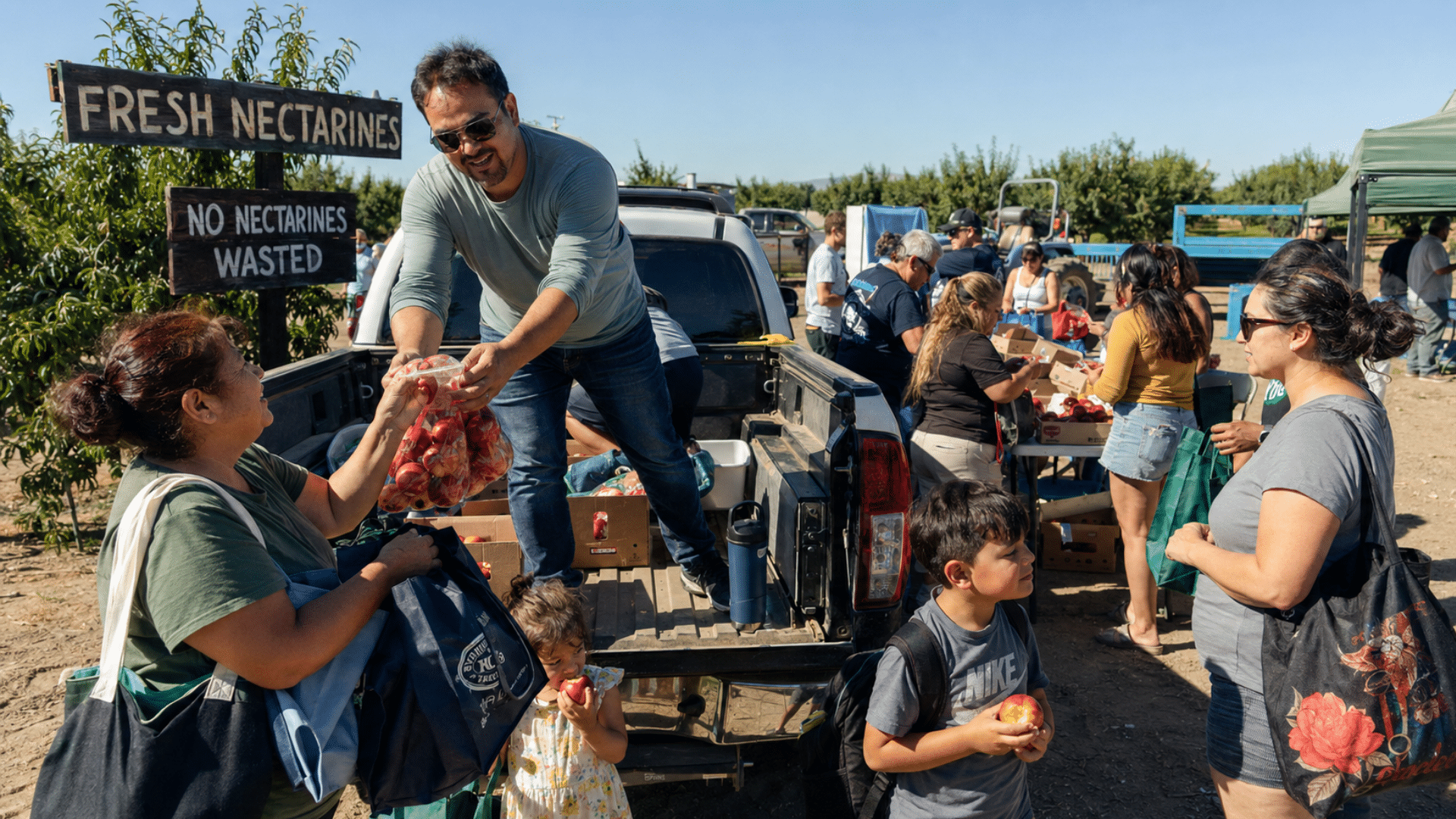 A man stands in the bed of a pickup truck handing bags of fresh nectarines to community members at an outdoor farm stand.
