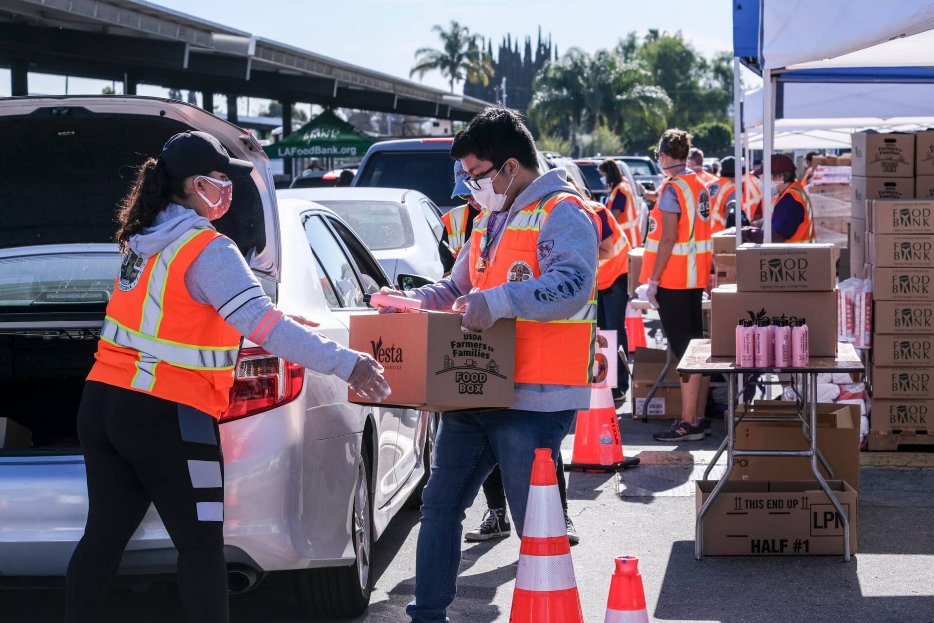 Volunteers distribute food boxes to drivers at a community food bank, representing efforts to reduce food waste and provide surplus food to families in need.
