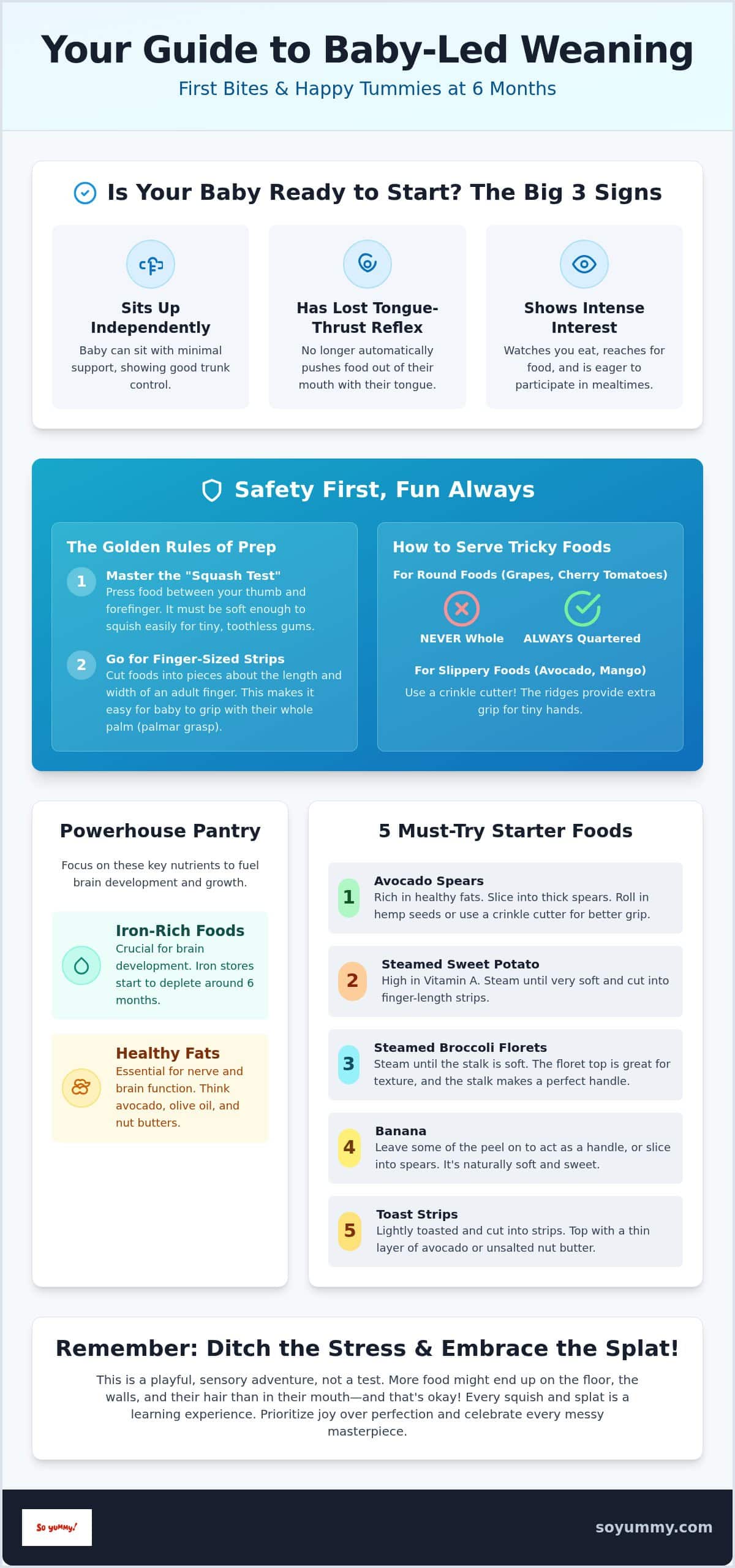 Baby Led Weaning Recipes: 6 Months Flavor Guide