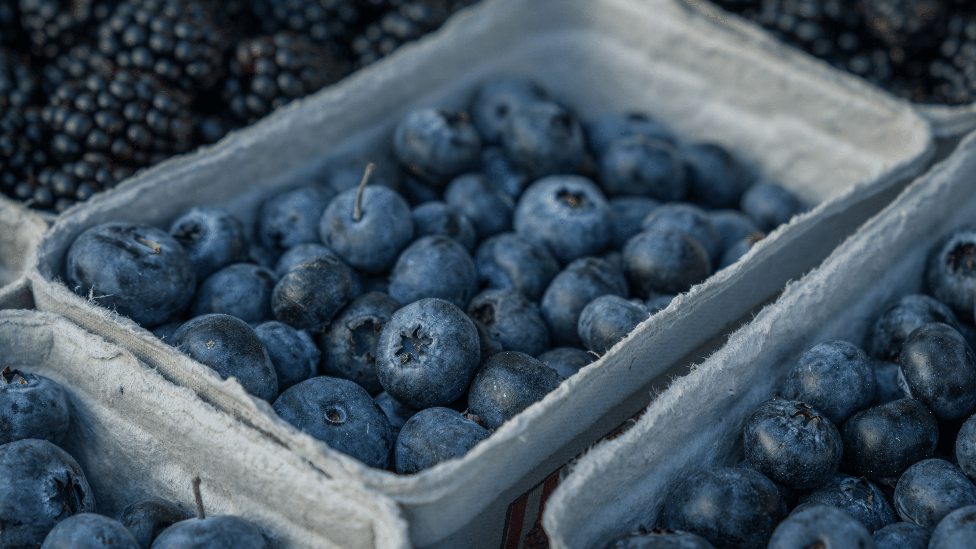 before-you-eat-those-frozen-blueberries-check-if-they-re-part-of-this