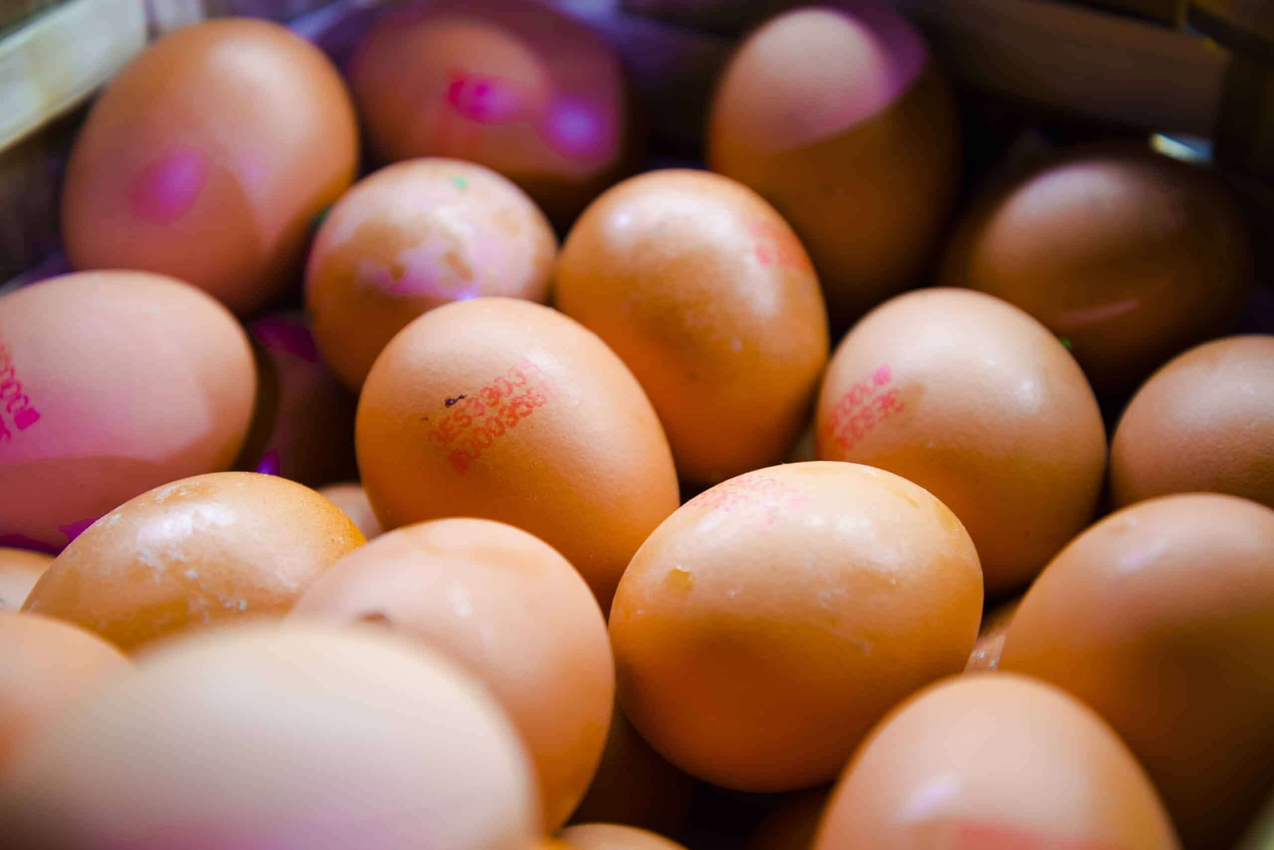 Close-up of brown eggs with printed identification codes displayed together in a carton.
